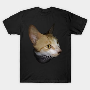 Cat Shirt T-Shirt